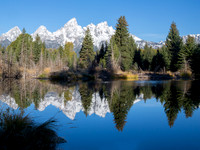 Yellowstone & Tetons Fall 2017
