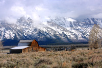 yellowstone & Tetons Spring 2010